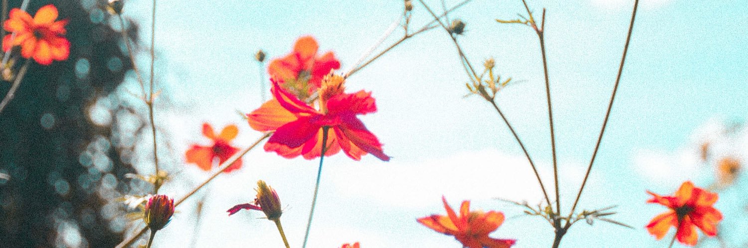 Magali_Berton's profile banner image