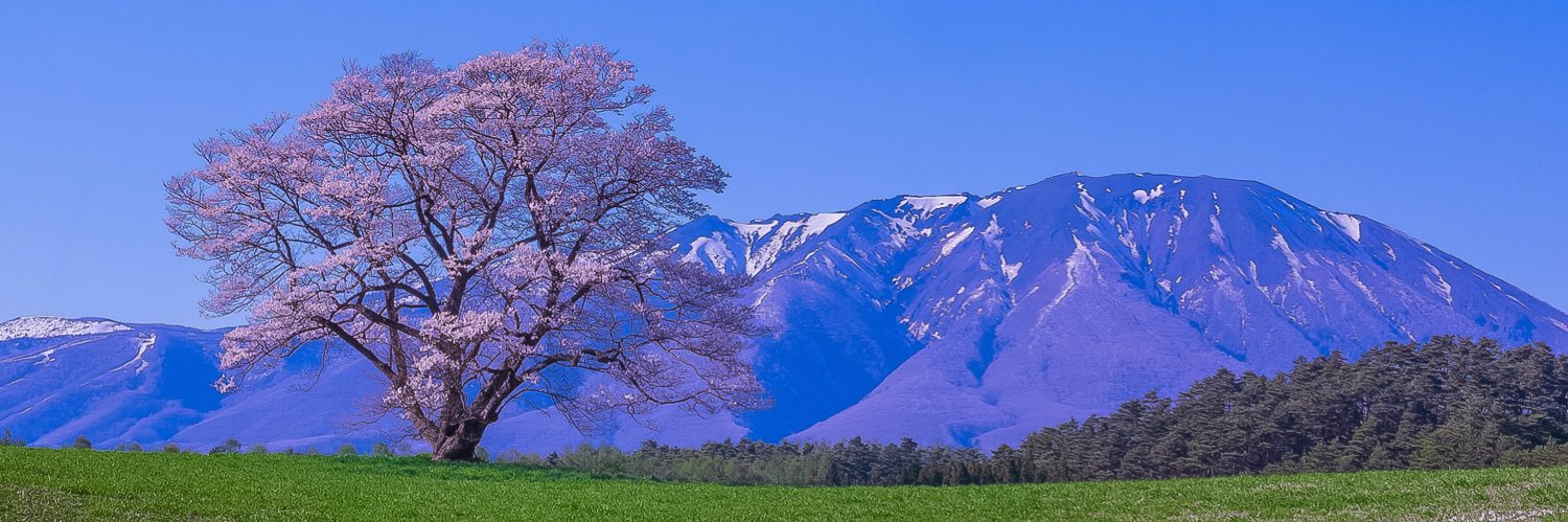 ABINSATO's profile banner image