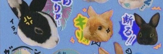 lee banner