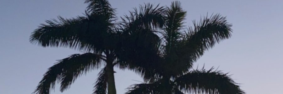 jenna_ward_'s profile banner image