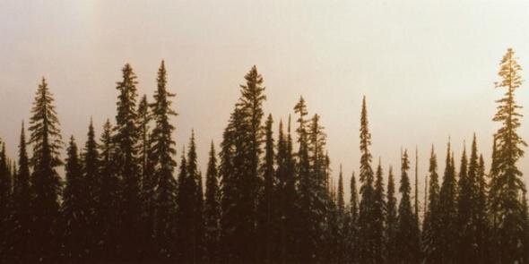 cynthiaservion's profile banner image