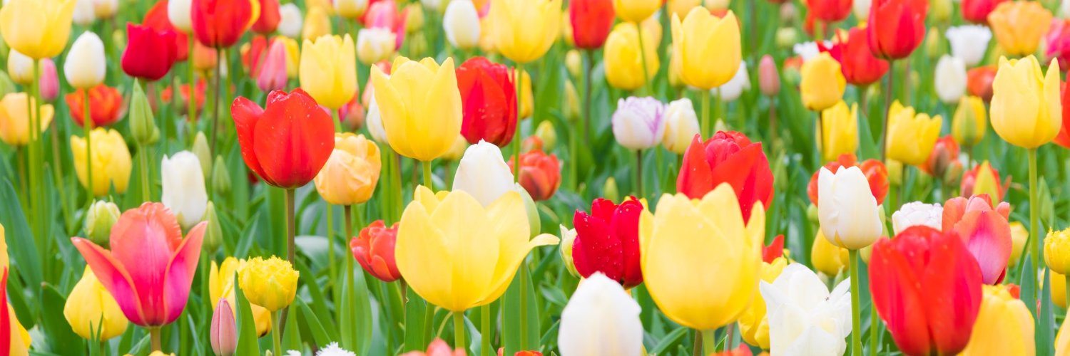 3abbas_awi's profile banner image