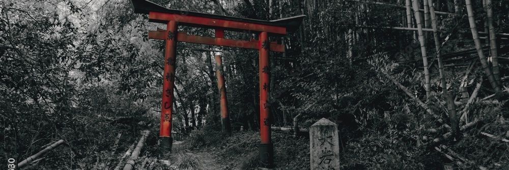 DarknessPursues's profile banner image