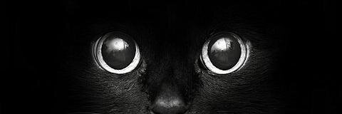 Helvegen0's profile banner image