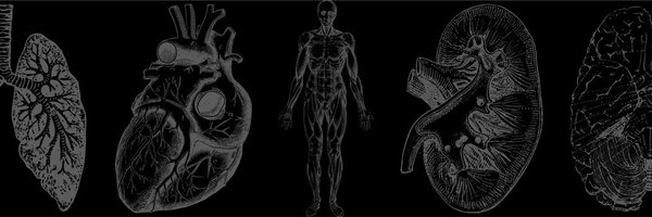 daniel_ezt Profile Banner