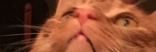 ensorwilliam's profile banner image