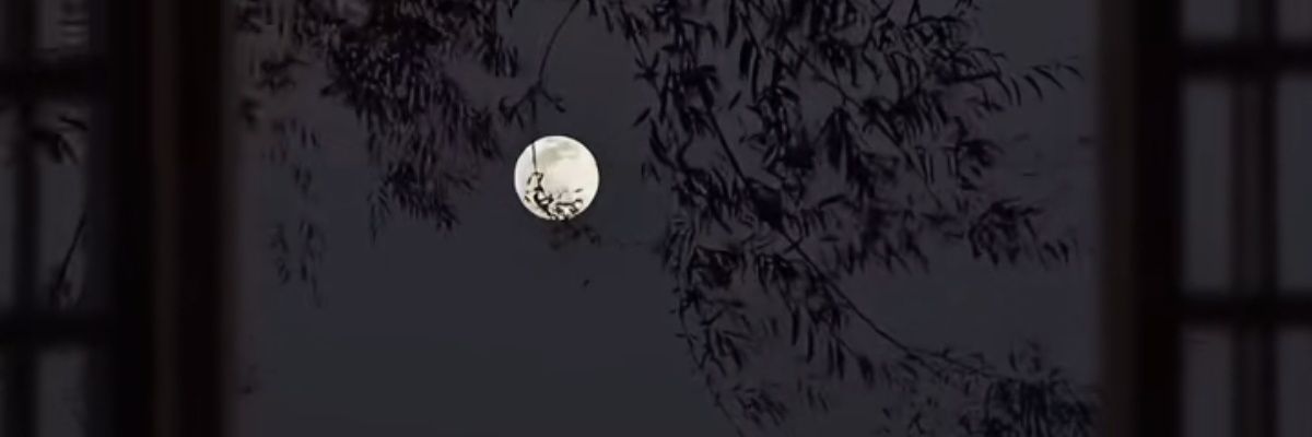 mrawMemo's profile banner image