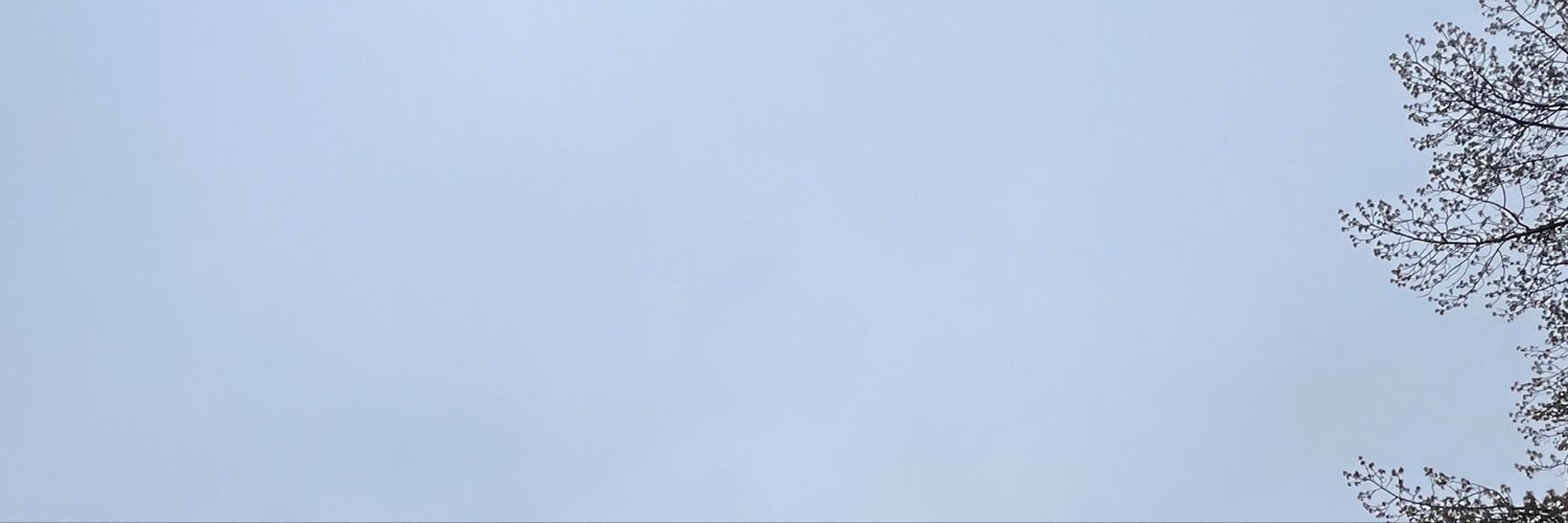 DeeBuchholz's profile banner image