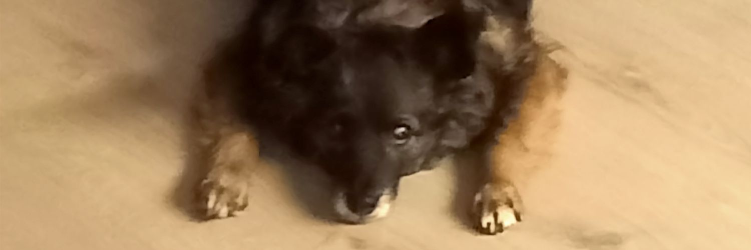 Twój stary na tłiterze banner