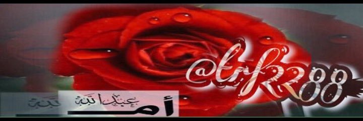 trf2288's profile banner image