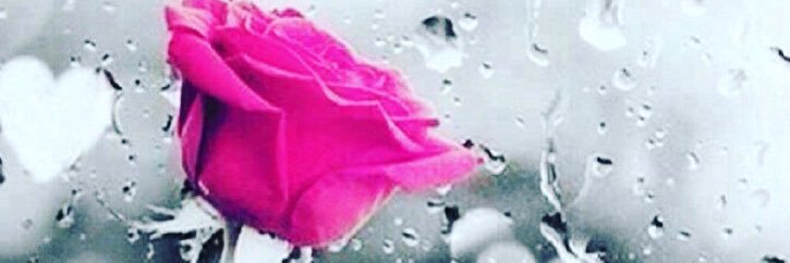 qamar_155's profile banner image