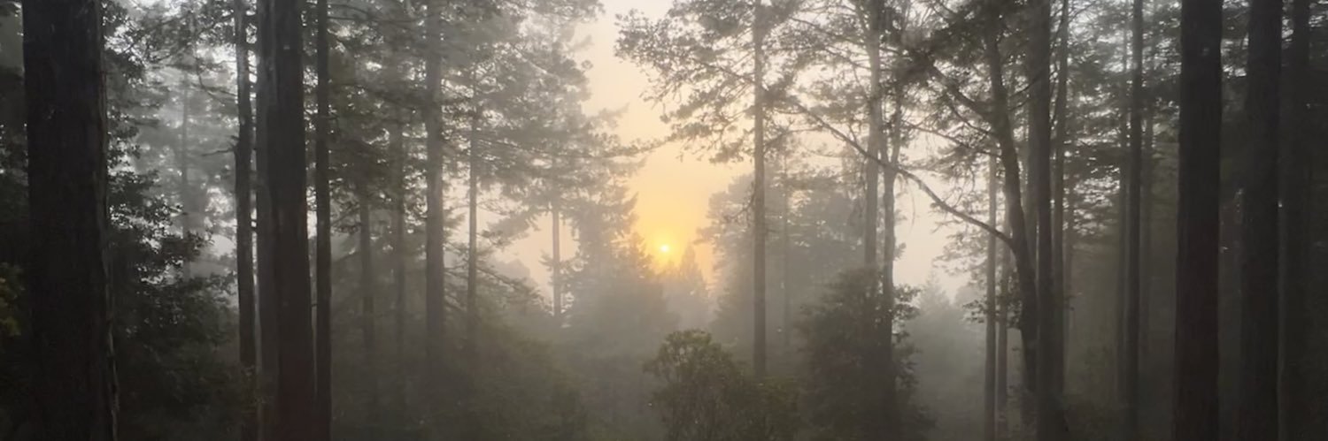 shawndb's profile banner image