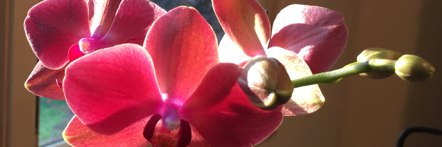 Scott_Marks's profile banner image