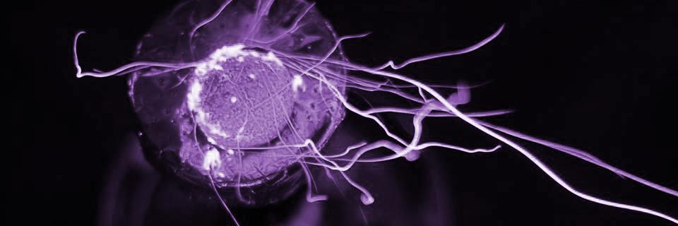 sams_hookah's profile banner image