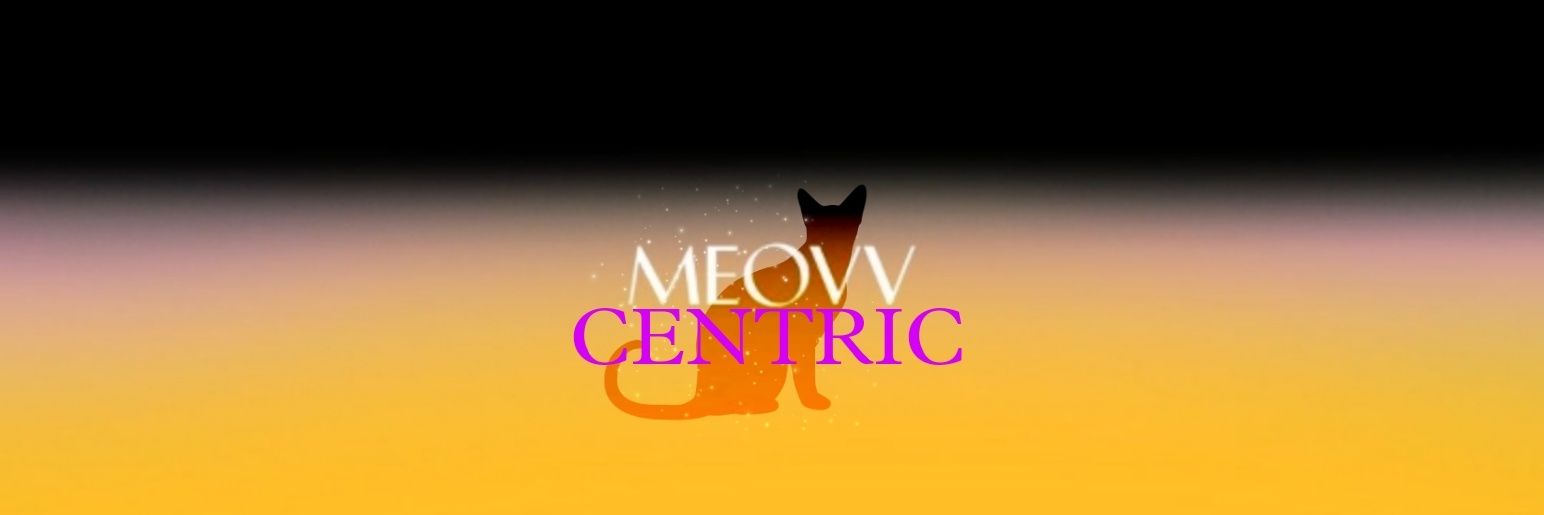 MEOVV CENTRIC banner