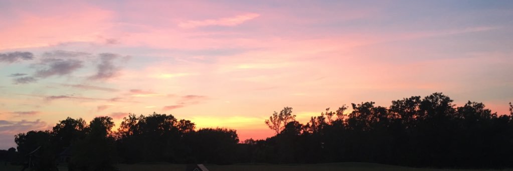 Eric J. Adkins, MD banner