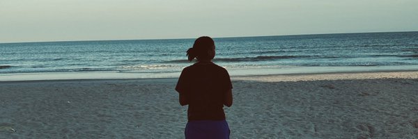 zipsully Profile Banner