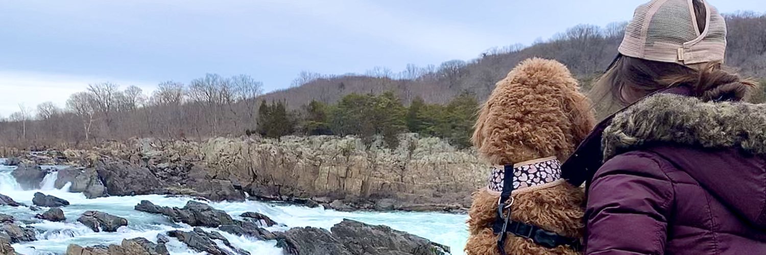 mwake00's profile banner image