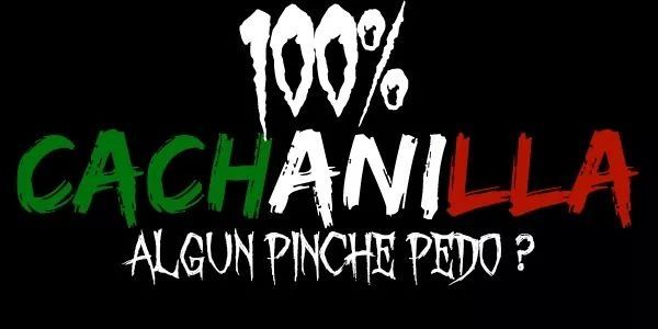 cachanilla213's profile banner image