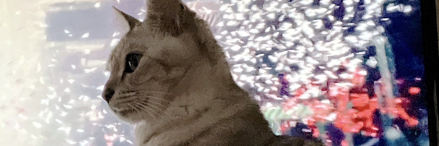 みおみお banner