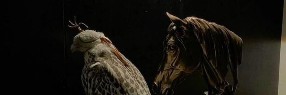 N3bd1's profile banner image