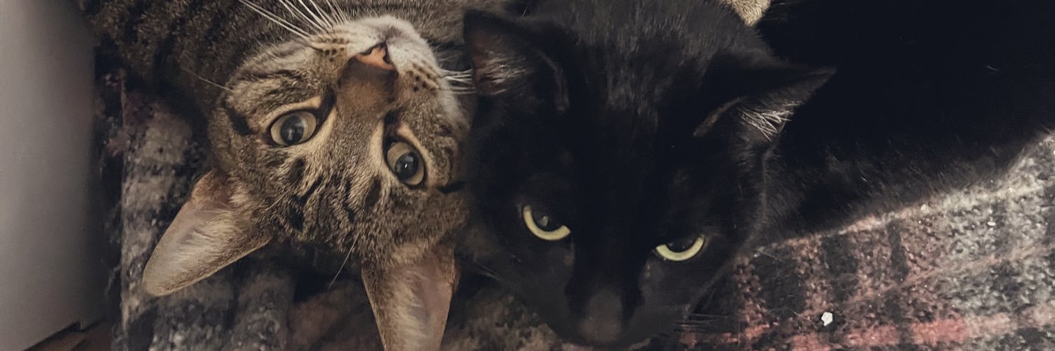 qtiambar's profile banner image