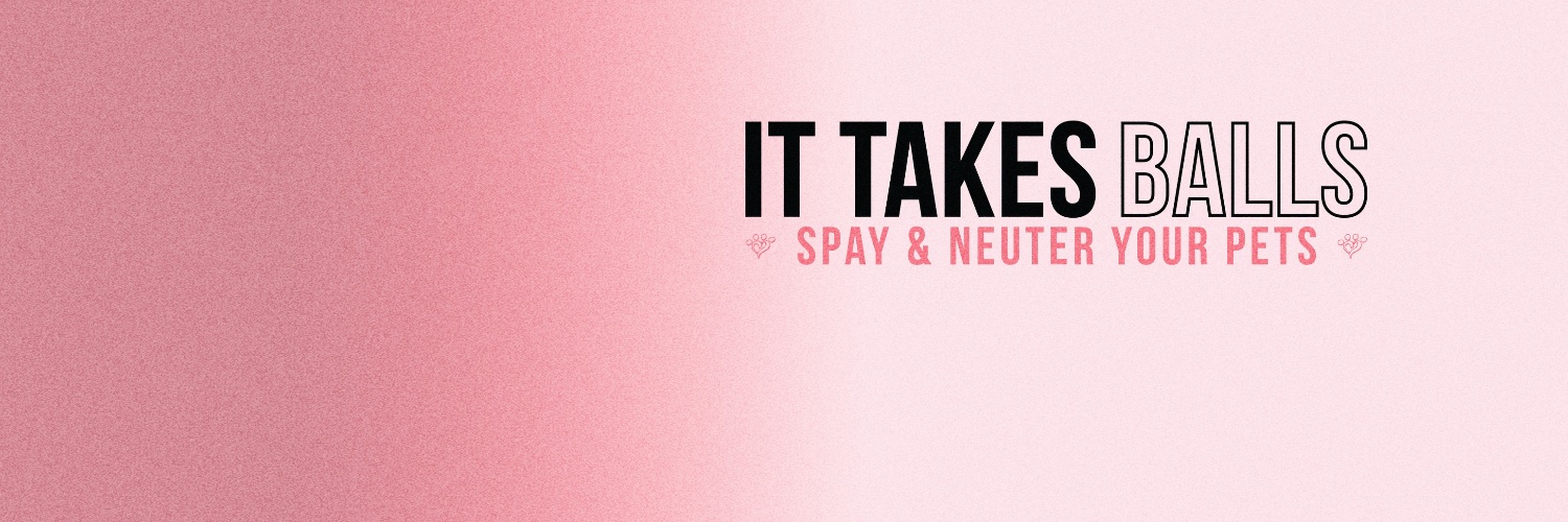 Miranda Lambert's MuttNation banner