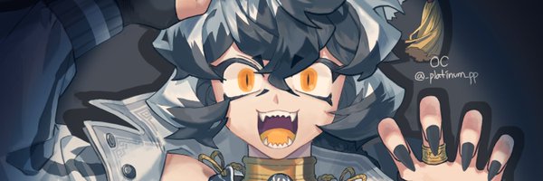 _platinum_pp Profile Banner