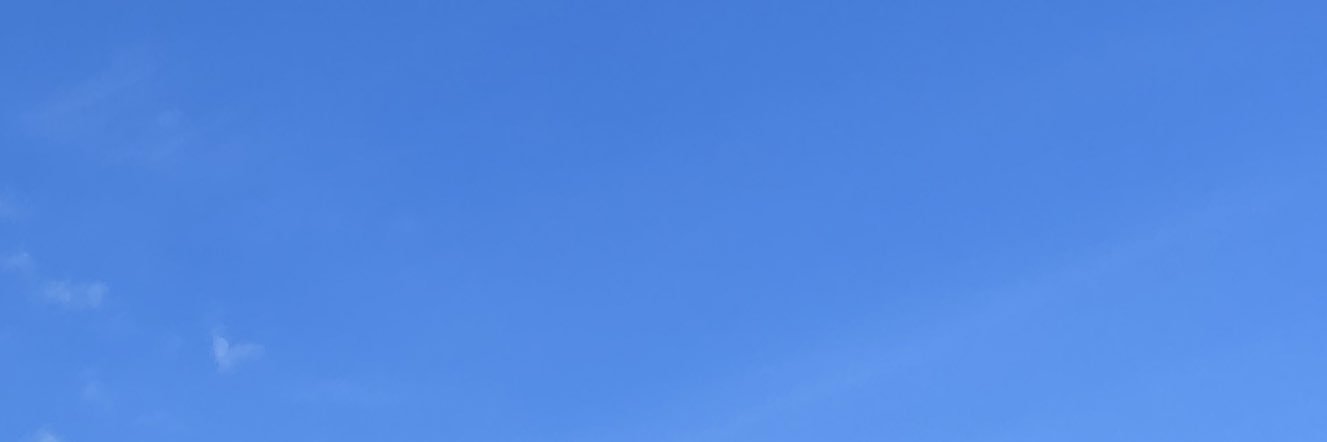 西山智樹 | Tomoki Nishiyama banner