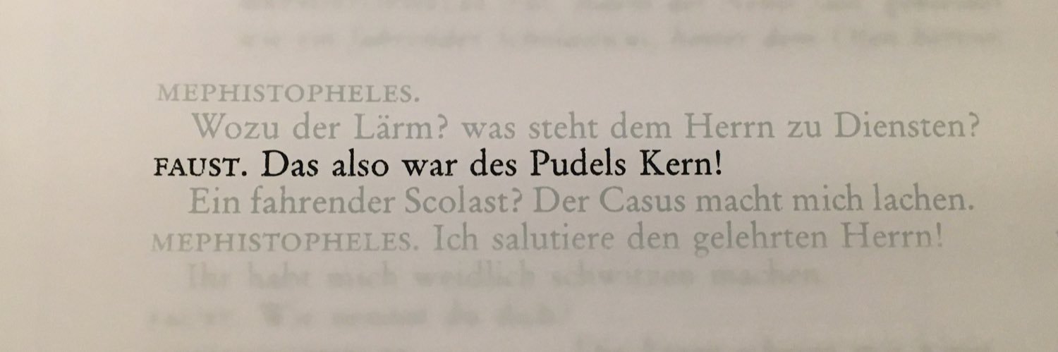 Claudia Steinbrich banner