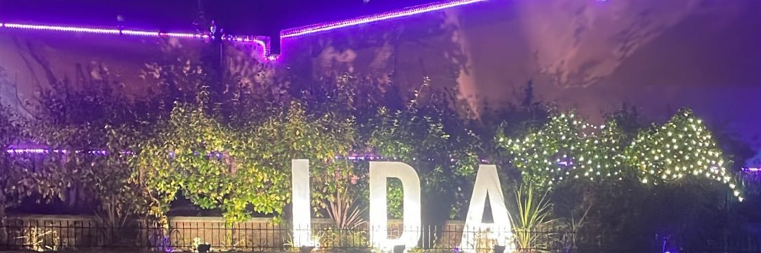 ida ҉ ⋆˖ ࣪⭑ banner