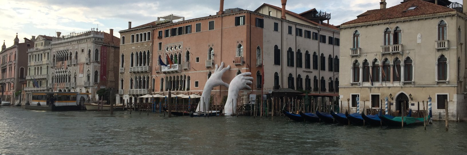 Jim Mustardear banner