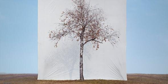 Alex Blom banner