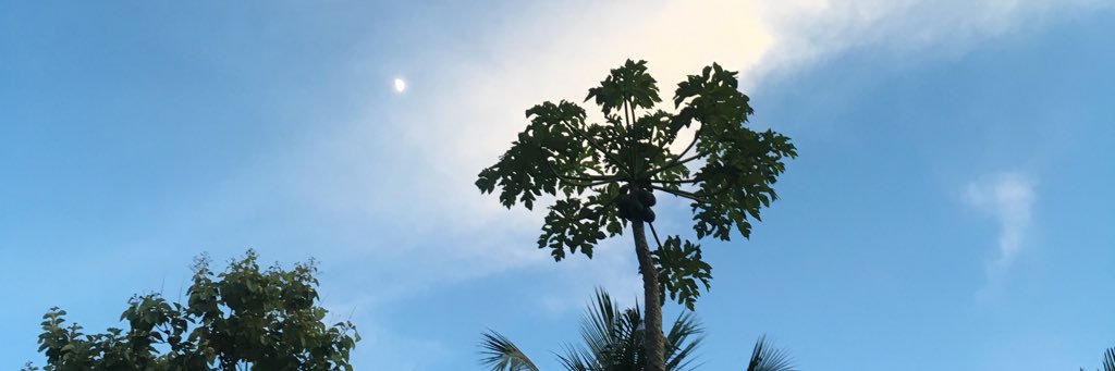 djbasumatari's profile banner image