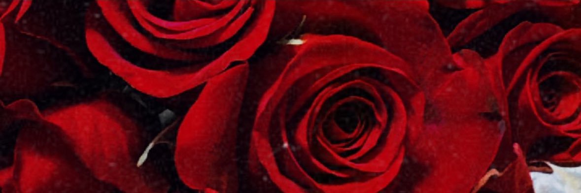 KONNEN♉️ banner