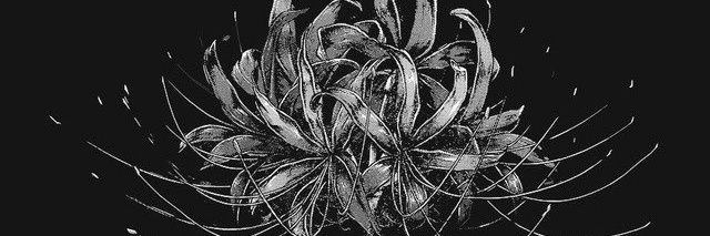 Aoztaslar's profile banner image