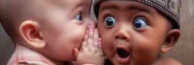 Art Folden 🍁 banner