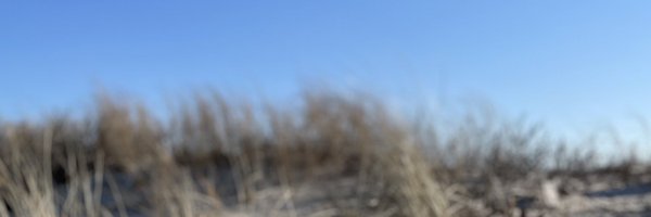 slp1001 Profile Banner