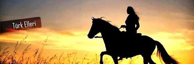 Türk Elleri banner