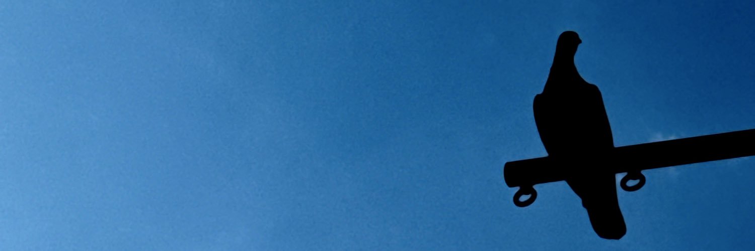 42 banner
