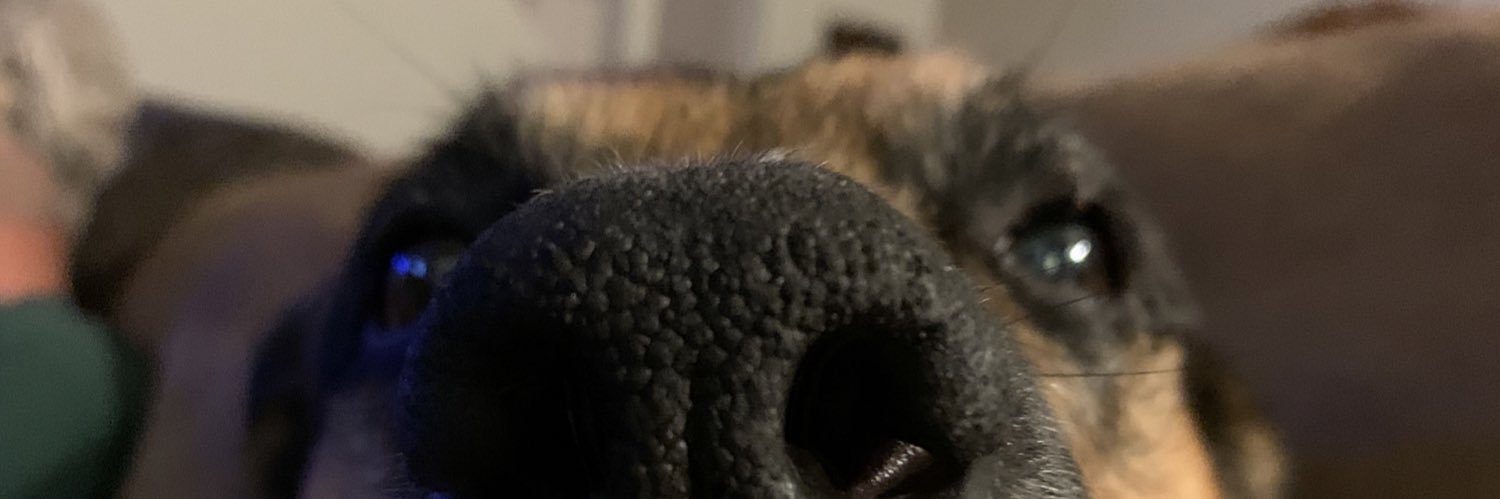 torivanthiel's profile banner image