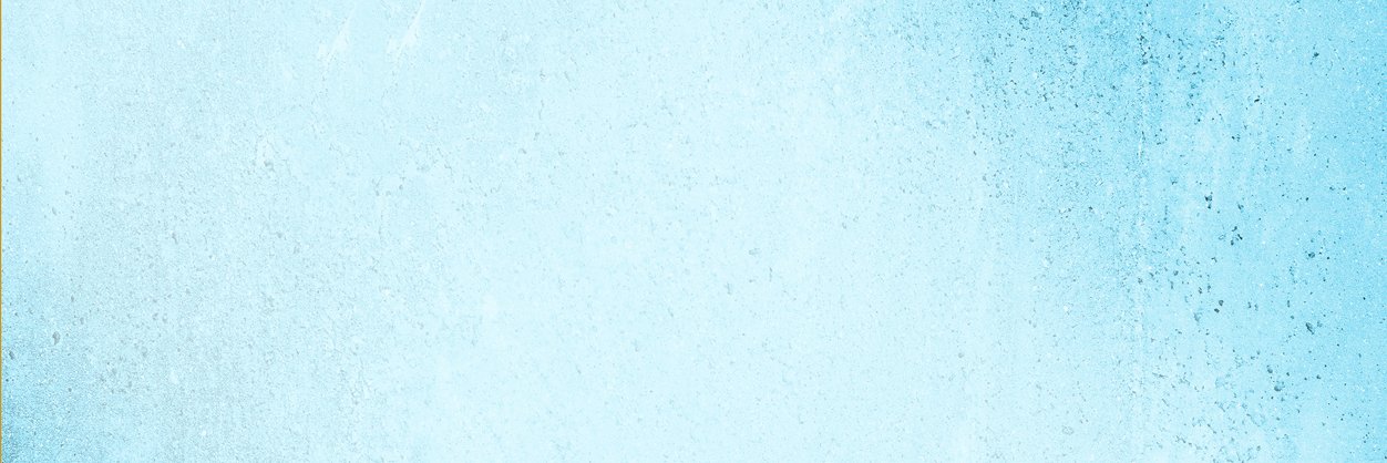 Veronica Satalino banner