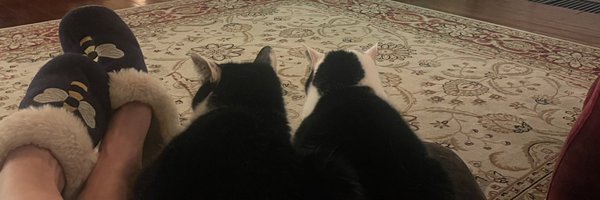 SandyLindsay Profile Banner