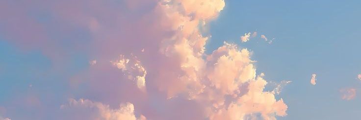 michi banner