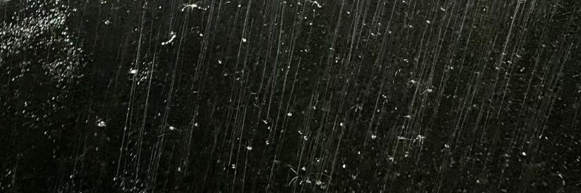OryFff's profile banner image