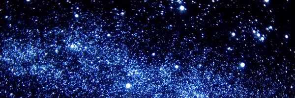 soyakurokawa_ST Profile Banner