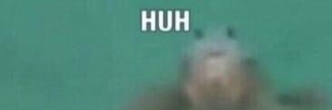 404's banner