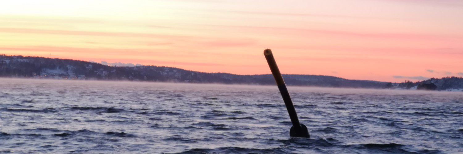 Göran Roseen banner