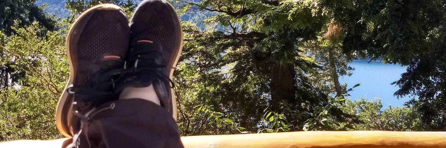 DanielaGuini's profile banner image