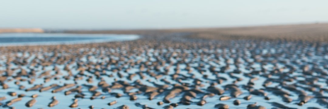 MirlenMill's profile banner image